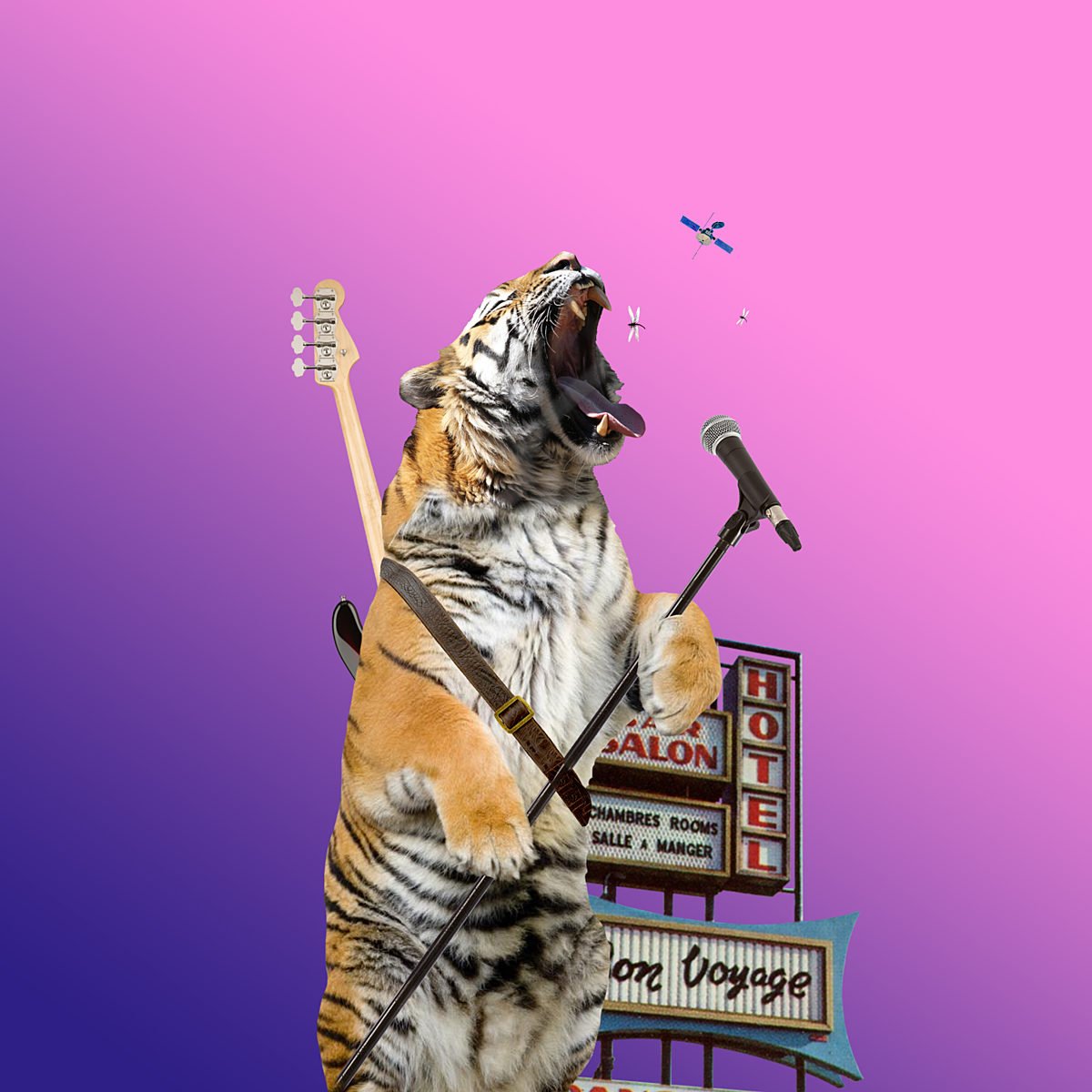 A standing tiger roaring into a microphone