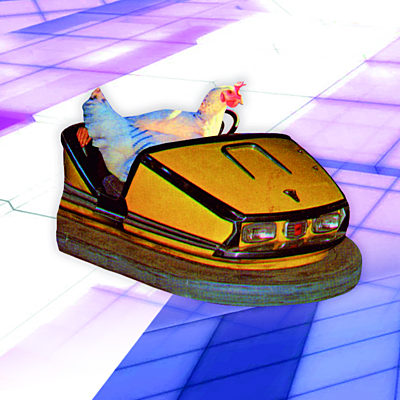A chicken in a dodgem car